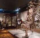 Meteorito gigante, diamantes coloridos e f&oacute;sseis: como &eacute; o museu da USP