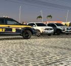 PRF prende tr&ecirc;s pessoas em flagrante com carros roubados no Recife e placas clonadas