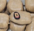 Droga apreendida pela PF no Terminal Rodovi&aacute;rio do Recife.