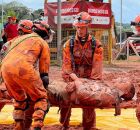 Bombeiros de Pernambuco durante simulado.