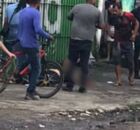 Idoso &eacute; atacado por pitbull