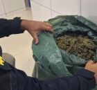 Maconha apreendida pela PRF. 