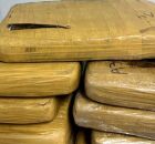 Droga apreendida pela PF.