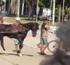 Protesto dos carroceiros no Grande Recife.