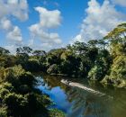 Impactos da minera&ccedil;&atilde;o na Amaz&ocirc;nia podem ser severos.
