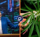 Deputado Jo&atilde;o Paulo apresenta proposta sobre canabis. 