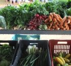 Alimento amado na &Aacute;frica chegou no Brasil e conquistou o pa&iacute;s inteiro.