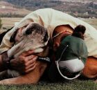 Lewis Hamilton anuncia a morte de Roscoe, seu buldogue ingl&ecirc;s. 