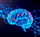 Descubra 5 h&aacute;bitos para melhorar a mem&oacute;ria, segundo a neuroci&ecirc;ncia. 