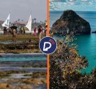 Praia de Porto de Galinhas e Fernando de Noronha.