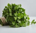 Descubra como a salsinha vai muito al&eacute;m de um simples tempero. 