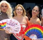 C&acirc;mara do Recife aprova voto de aplauso &agrave; Parada da Diversidade dias ap&oacute;s conceder mo&ccedil;&atilde;o de rep&uacute;dio.