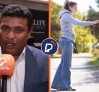 Projeto que pro&iacute;be viol&ecirc;ncia contra animais vai ofertar c&oacute;digo de prote&ccedil;&atilde;o voltado ao adestramento.