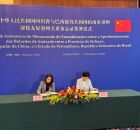 Raquel Lyra anuncia edital de sele&ccedil;&atilde;o de bolsistas pernambucanos para universidades chinesas.