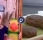 Ana Maria Braga ao lado de Louro Jos&eacute; e sobremesa.