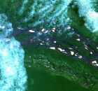 Conhe&ccedil;a o Arquip&eacute;lago de Mariu&aacute;, no Amazonas, o maior arquip&eacute;lago fluvial do mundo. 