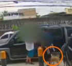 "C&atilde;oparsa": dupla formada por homem e cachorro caramelo s&atilde;o flagrados assaltando no Rio de Janeiro