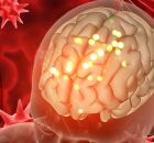 O c&eacute;rebro e suas mudan&ccedil;as ao longo da vida.