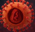 V&iacute;rus do HIV.