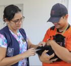 Vacina&ccedil;&atilde;o Antirr&aacute;bica em Jaboat&atilde;o.