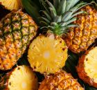 A maior fazenda de abacaxi do mundo fica em Taboc&atilde;o no Tocantins. 