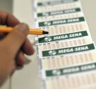 Pessoa marcando tal&otilde;es da mega-sena.