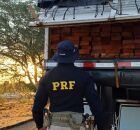 Agente da PRF apreendendo carga com madeira.