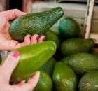 Aprenda a fazer um fertilizante caseiro simples e poderoso para o abacateiro. 