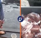 A&ccedil;a&iacute; adulterado com papel higi&ecirc;nico