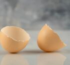 Saiba 7 formas pr&aacute;ticas e criativas para reaproveitar as cascas de ovos. 