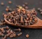 Cravo-da-&Iacute;ndia &eacute; usado como tempero e tamb&eacute;m como aliado natural para fortalecer o sistema imunol&oacute;gico e melhorar a digest&atilde;o.