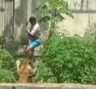 Homem morre ap&oacute;s invadir jaula de leoa.