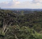 Foto Mata Aldeia, APA Aldeia-Beberibe