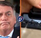 Jair Bolsonaro admite ter utilizado ferro de solda.