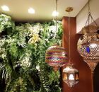 Descubra como casas sem quintal adotam jardins verticais. 