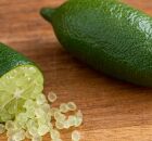 Lim&atilde;o-caviar (finger lime) cortado ao meio para revelar suas p&eacute;rolas c&iacute;tricas transl&uacute;cidas.
