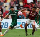 Final da Libertadores: vencedor de Palmeiras x Flamengo ser&aacute; o primeiro time brasileiro tetracampe&atilde;o