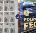 Pol&iacute;cia Federal autua aut&ocirc;nomo com notas falsas em Pernambuco.
