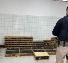 Em Garanhuns, PRF resgata mais de 900 animais silvestres transportados em condi&ccedil;&otilde;es irregulares