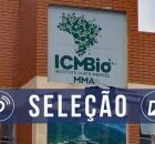 Processo seletivo do ICMBio.