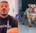 Influenciador digital Matheus Vandr&eacute; e cachorro, Bradock, da ra&ccedil;a American Bully