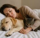 Pessoa dormindo com PETs