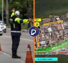 CTTU altera tr&acirc;nsito no Recife Antigo. 