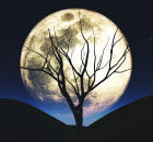 A Lua Cheia de dezembro de 2025 ilumina o c&eacute;u noturno, momento ideal para observa&ccedil;&atilde;o a olho nu ou com telesc&oacute;pio.