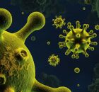 Gripe K chega ao Brasil e gera alerta global. 