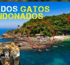 Conhe&ccedil;a a Ilha dos Gatos, em S&atilde;o Sebasti&atilde;o: mans&atilde;o abandonada, mar transparente e ru&iacute;nas misteriosas. 