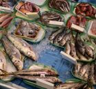 Variedade de peixes frescos que podem contribuir para a sa&uacute;de do cora&ccedil;&atilde;o.