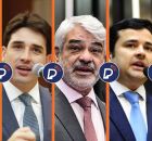 Pesquisa para o Senado por Pernambuco.