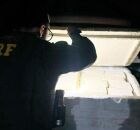 Agente da PRF durante apreens&atilde;o de queijo coalho na BR-232.