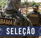 Sele&ccedil;&atilde;o IBAMA. 